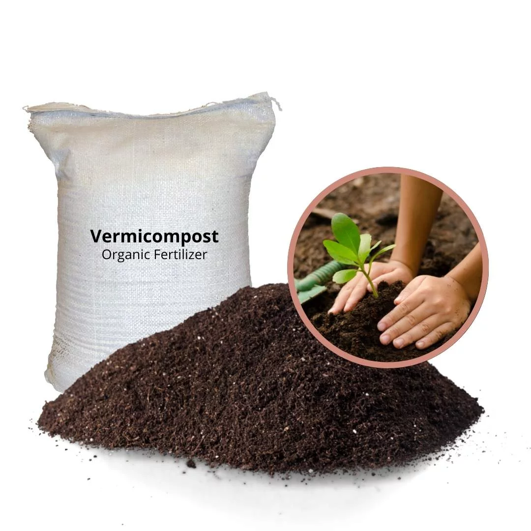3.2 vermi compost.webp